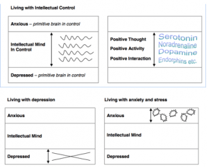 Screen Shot 2016-02-28 at 17.48.12
