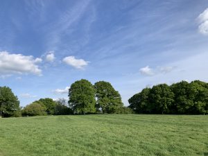 Read more about the article Walking for wellbeing