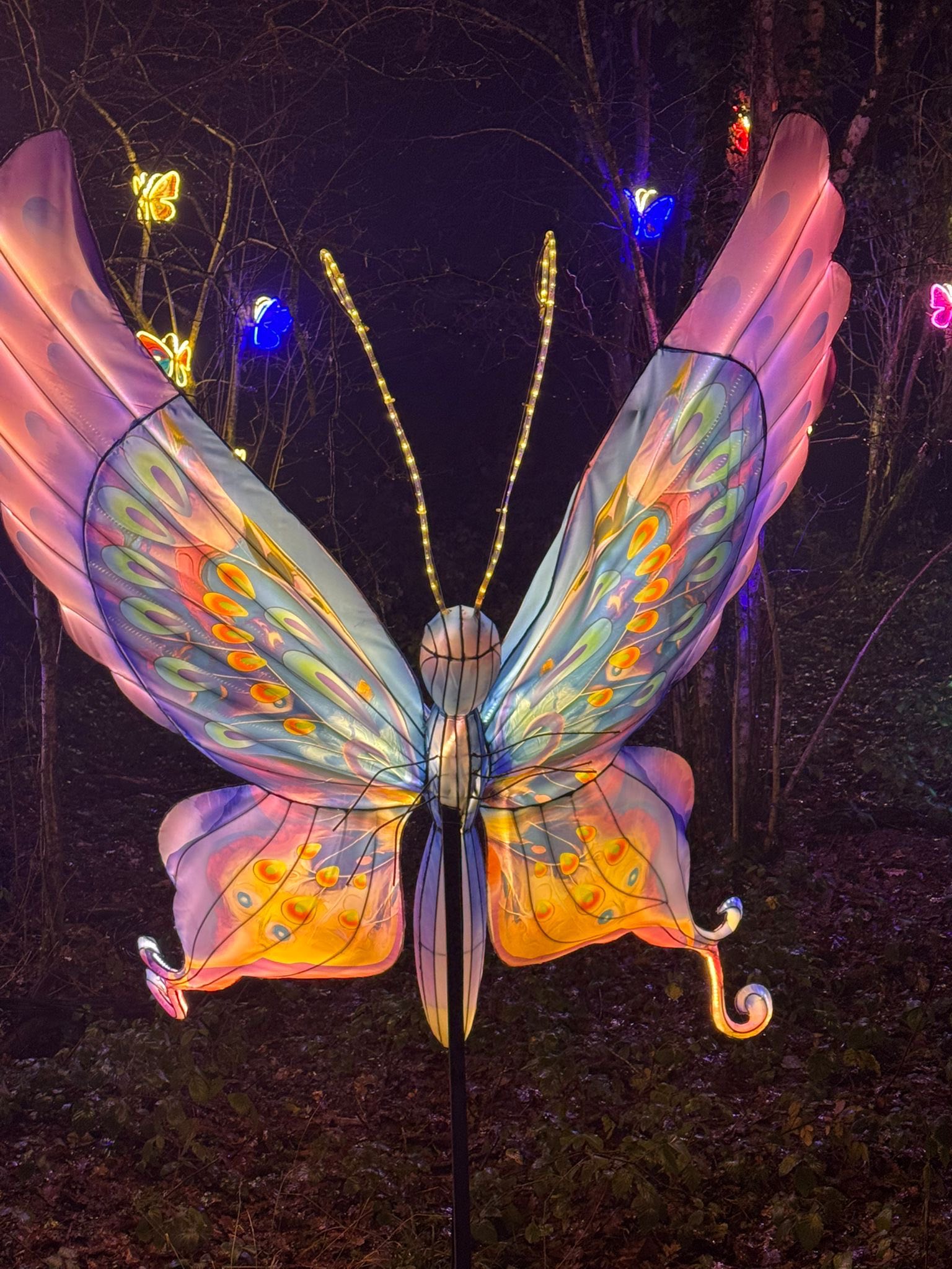 You are currently viewing Understanding Anorexia Nervosa Through a Solution-Focused Hypnotherapy Lens